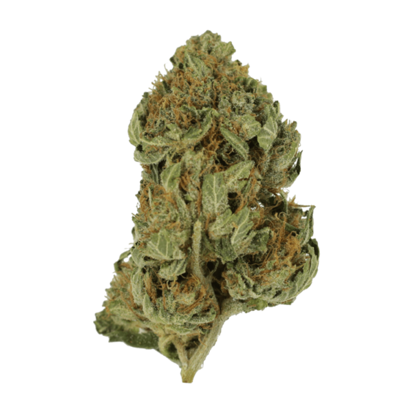 Bubblegum – 1 ounce | Daily Marijuana Canada