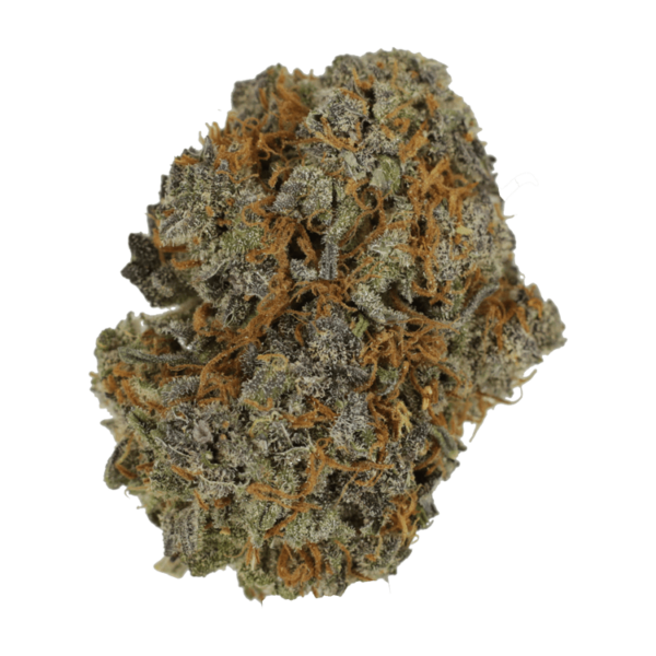 Jack Herer 1 Ounce | Daily Marijuana Canada