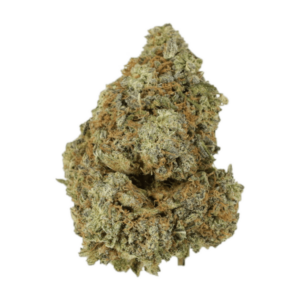 Granddaddy Purple | Daily Marijuana Canada