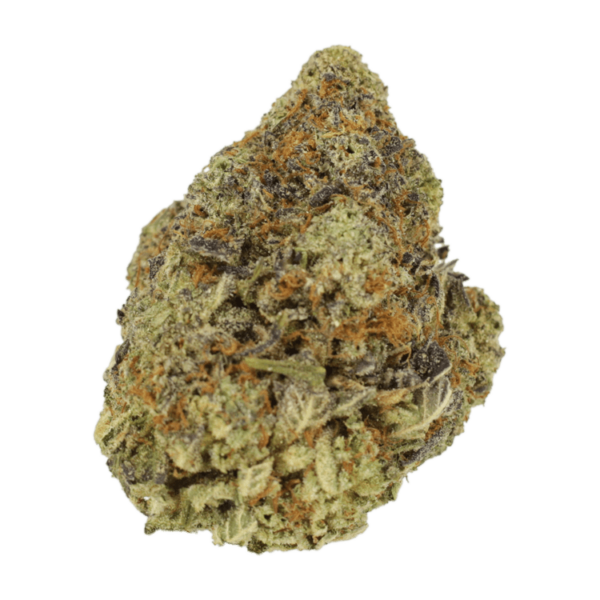 Durban Poison | Daily Marijuana Canada