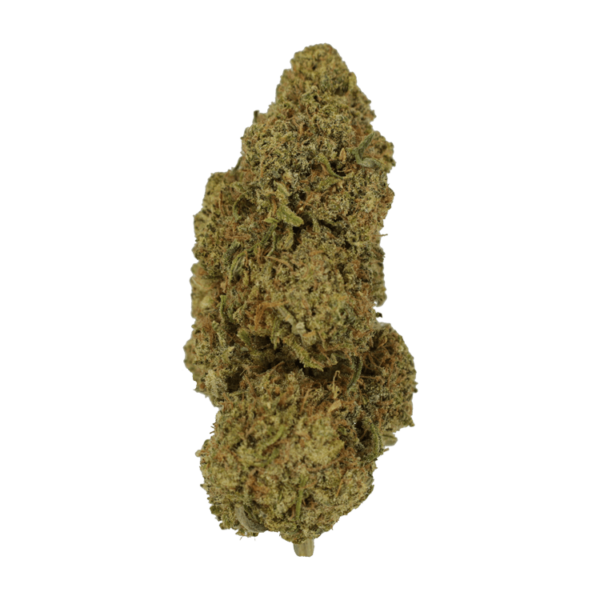 9lb Hammer | Daily Marijuana Canada