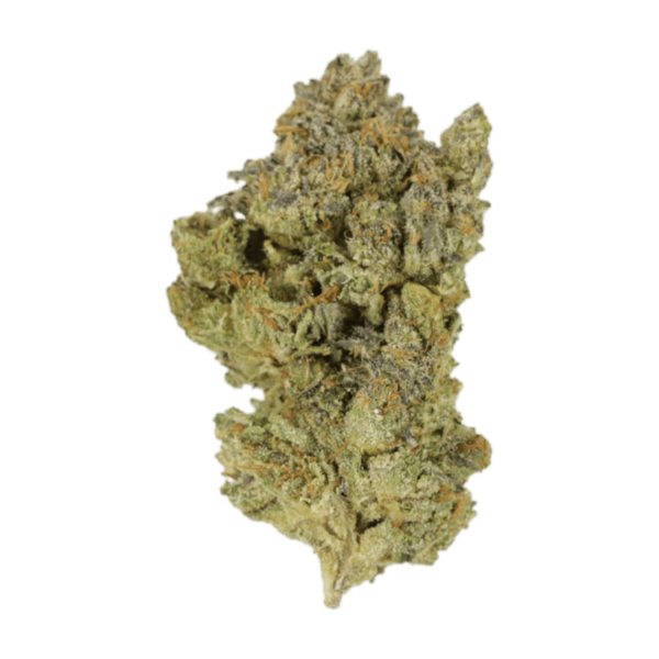 Golden Goat | Daily Marijuana Canada