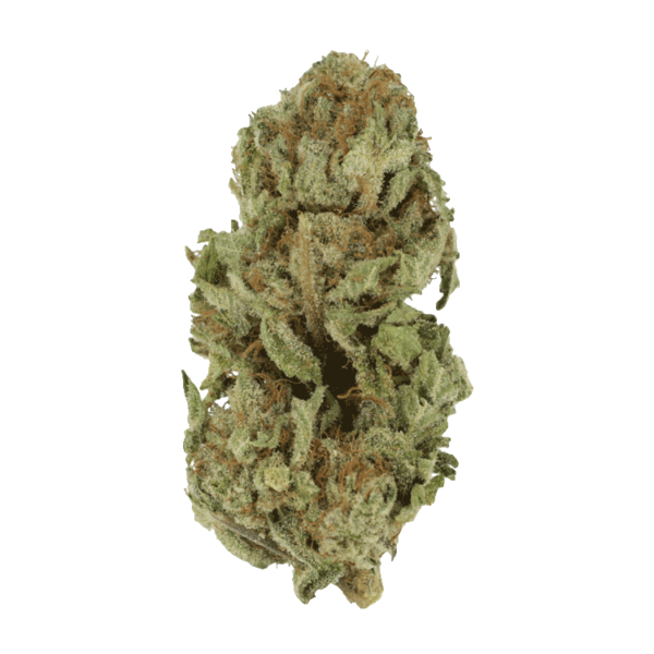 Golden Goat | Daily Marijuana Canada