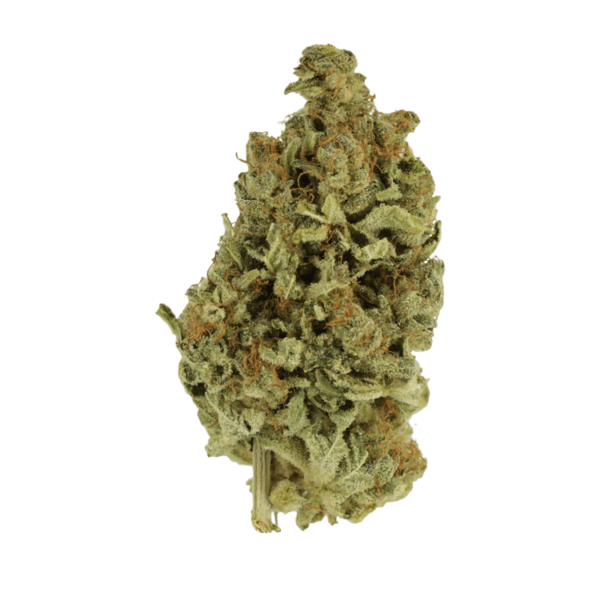 Cali Gold | Daily Marijuana Canada