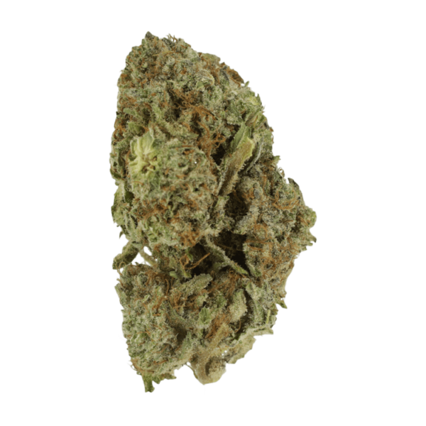 Gelato Sorbet – 1 ounce | Daily Marijuana Canada