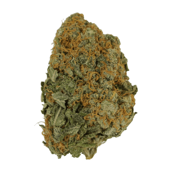 Master Kush Ultra | Daily Marijuana Canada