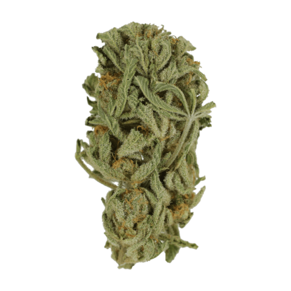 Master Kush Ultra | Daily Marijuana Canada