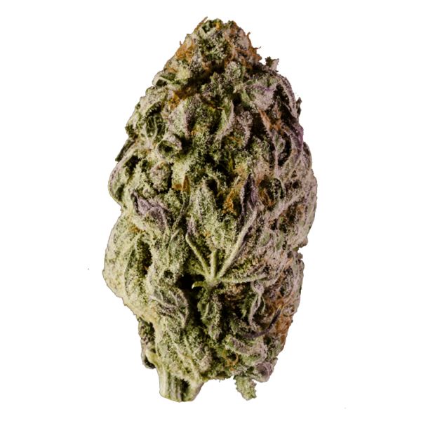 Durban Cookies | Daily Marijuana Canada