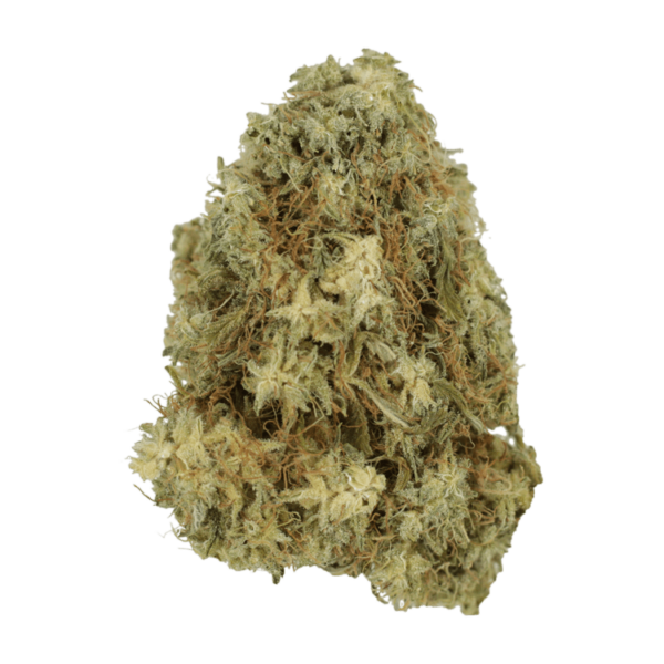 Hawaiian Snow | Daily Marijuana Canada