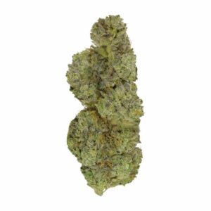 Strawberry Cough | Daily Marijuana Canada