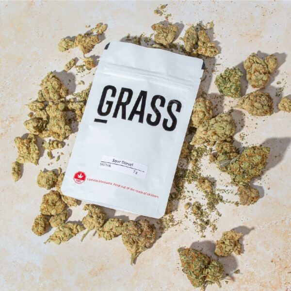 1/2OZ Sample Pack (AAA) – SAVE 20% | Daily Marijuana Canada