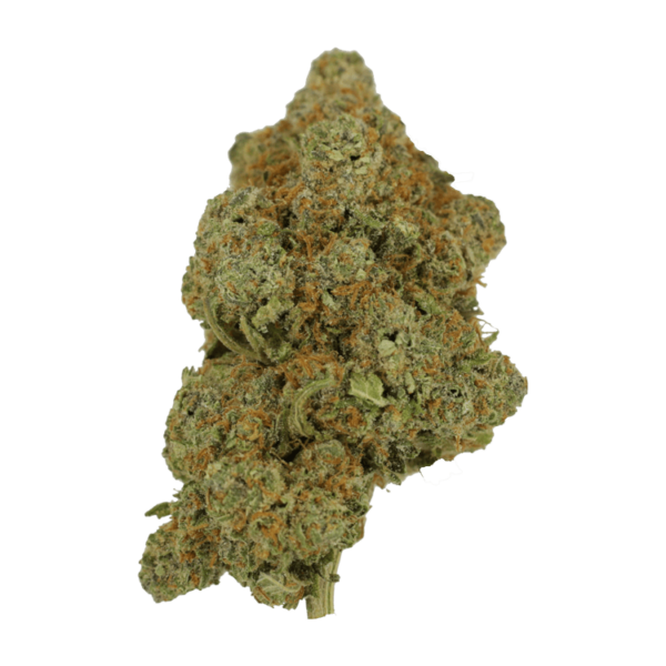 Tropicana Cookies | Daily Marijuana Canada