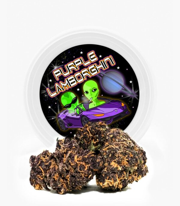 Westcoast Cali Tins – Premium Flower – Purple Lamborghini – 3.5g | Daily Marijuana Canada