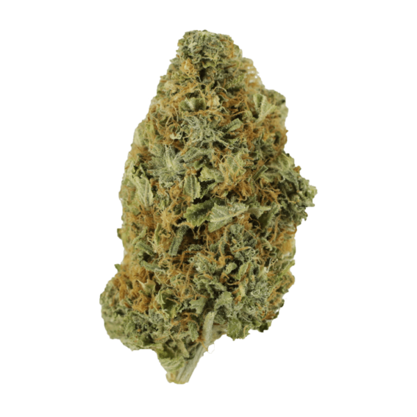 Purple Tuna – 1 ounce | Daily Marijuana Canada