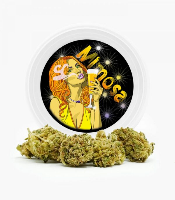 Westcoast Cali Tins – Premium Flower – Mimosa – 3.5g | Daily Marijuana Canada