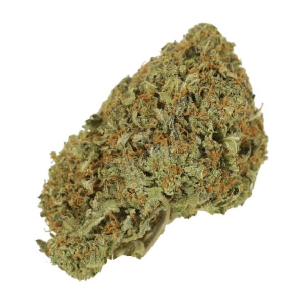 Garlic Breath – 1oz / $60 | Daily Marijuana Canada