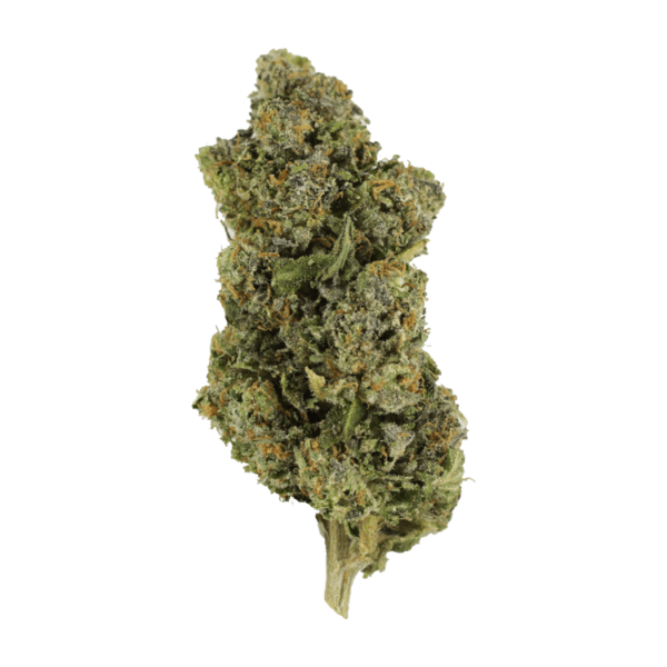 Jokerz | Daily Marijuana Canada