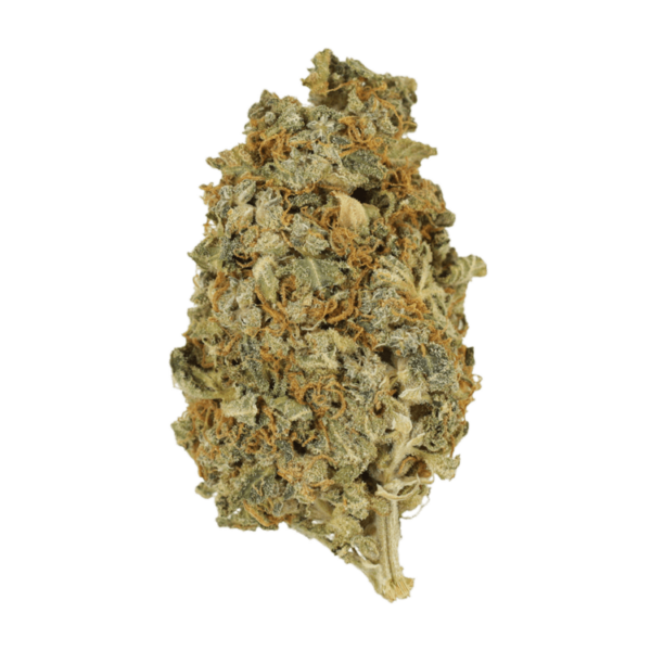 Mint Cookies | Daily Marijuana Canada