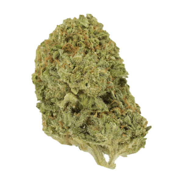 Mango Cream | Daily Marijuana Canada