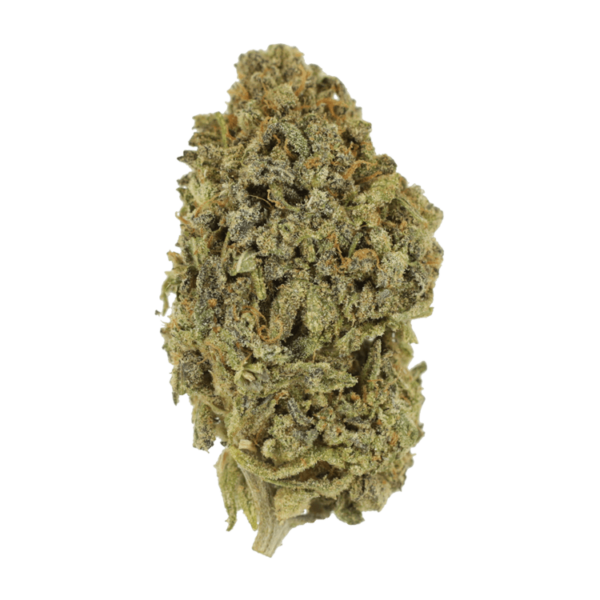 Watermelon Gelato | Daily Marijuana Canada