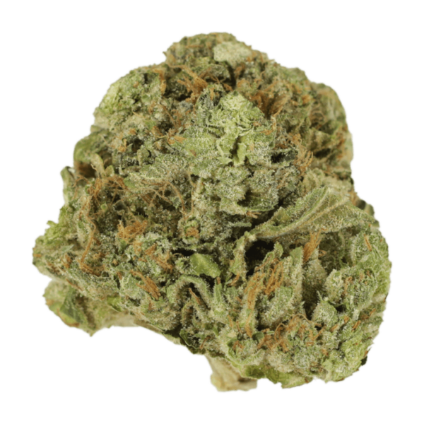 Mango Cream | Daily Marijuana Canada