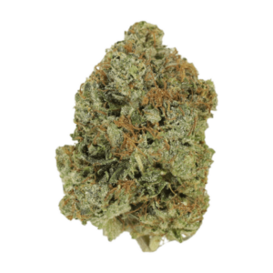 Jack Herer (popcorn) | Daily Marijuana Canada