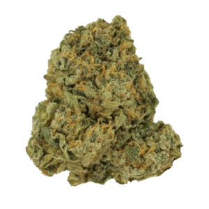 Purple Punch | Daily Marijuana Canada