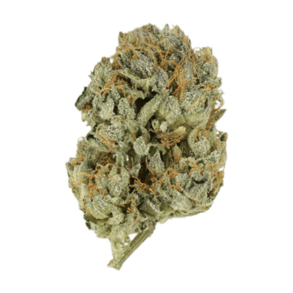 Kashmir Kush | Daily Marijuana Canada