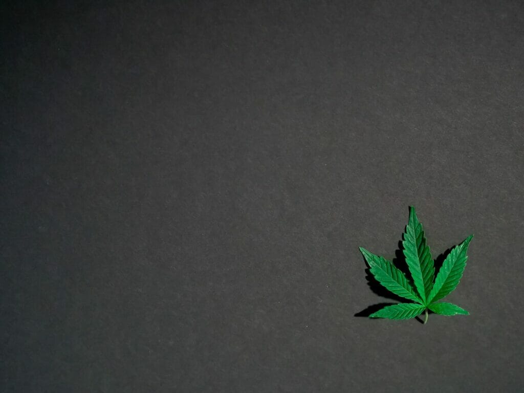 Hybrid - weed | Daily Marijuana Canada