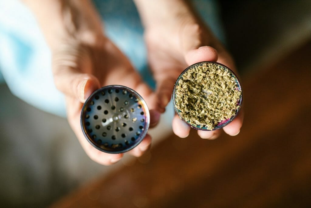 Different Ways to Keep Your cannabis Products Fresh at All Times | Daily Marijuana Canada | Daily Marijuana Canada