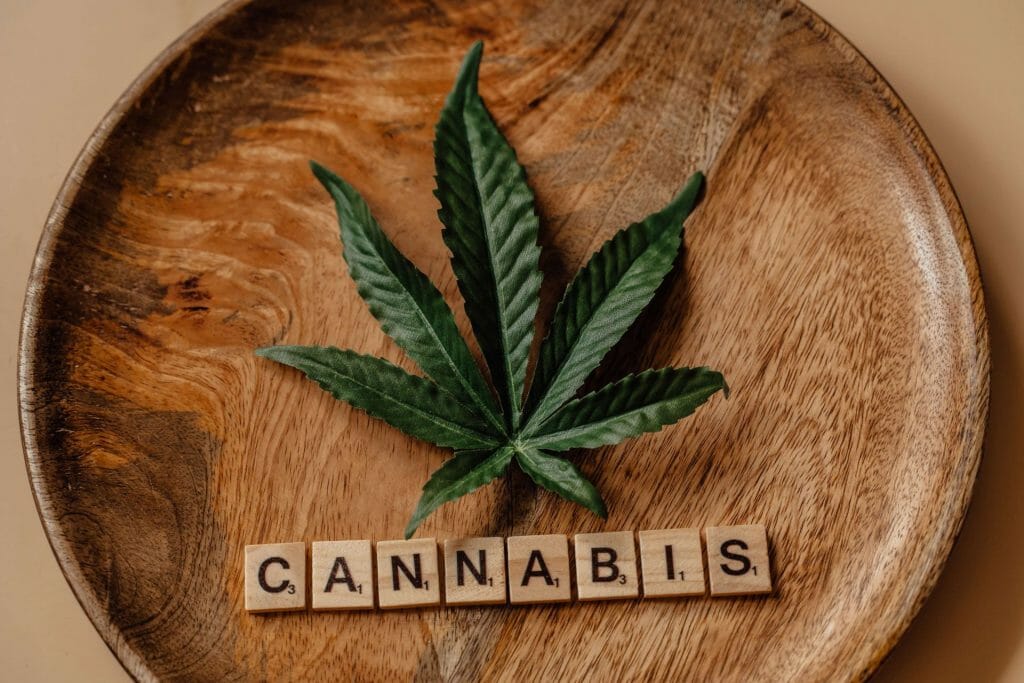 Beyond the Bud: The Role of a cannabis Dispensary in Promoting Wellness | Daily Marijuana Canada | Daily Marijuana Canada
