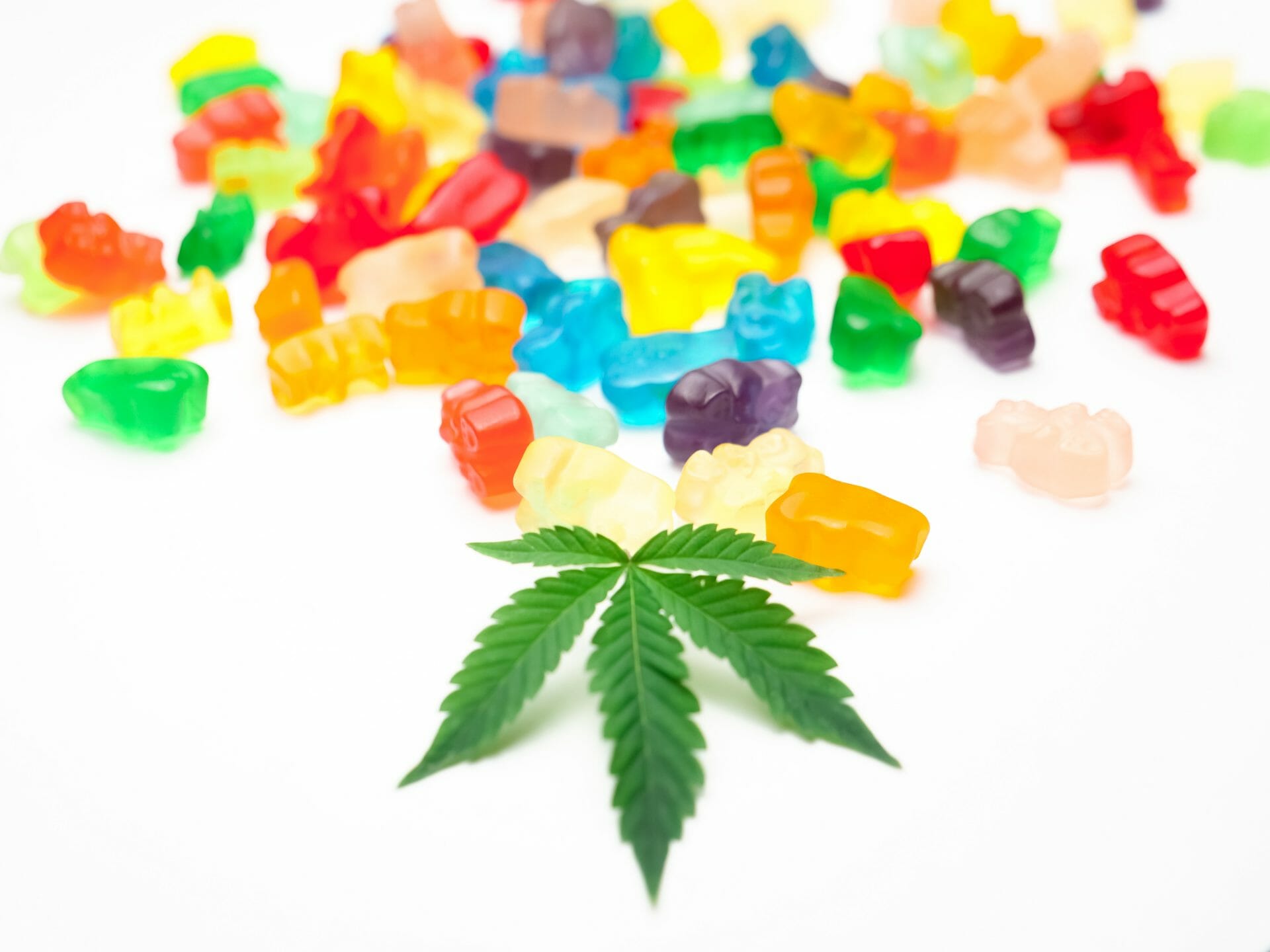 Weed Gummy | Daily Marijuana Canada