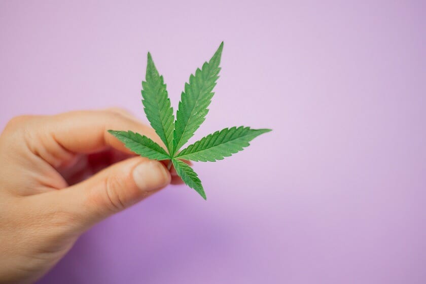 Discover How A cannabis Shop Helps You Better Understand Cannabis | Daily Marijuana Canada | Daily Marijuana Canada