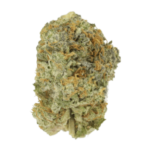 Slurricane | Daily Marijuana Canada