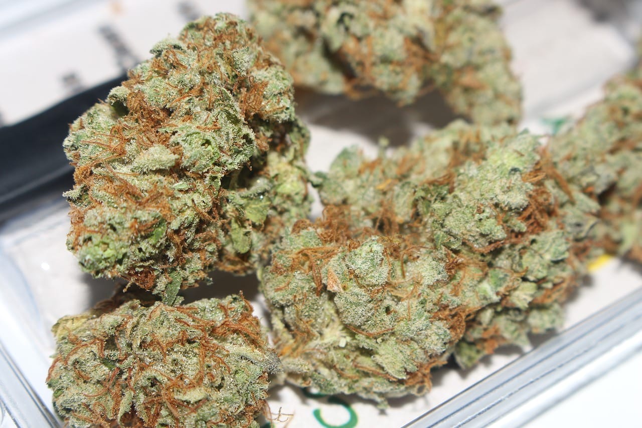 Hybrid cannabis Strains | Daily Marijuana Canada