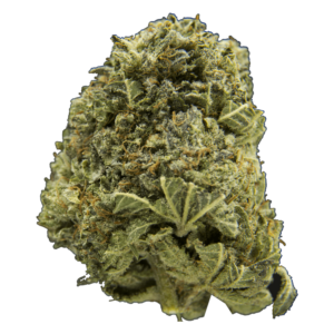 Cookies Kush | Daily Marijuana Canada