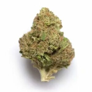 Supersonic | Daily Marijuana Canada