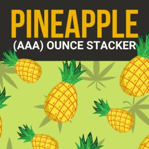 Pineapple 1 OZ Kit | Daily Marijuana Canada