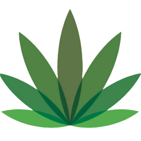 logo (1) - Daily Marijuana Canada | Daily Marijuana Canada